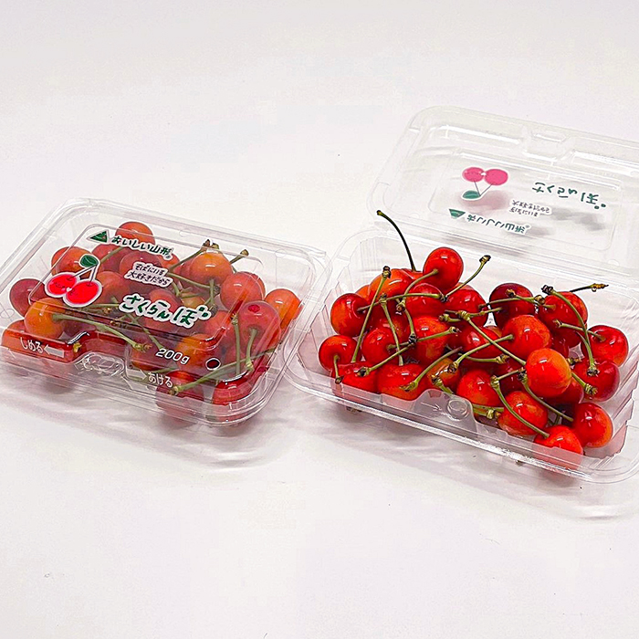 【定期便5回】おいしい！ジューシー！山形フルーツ　バラ