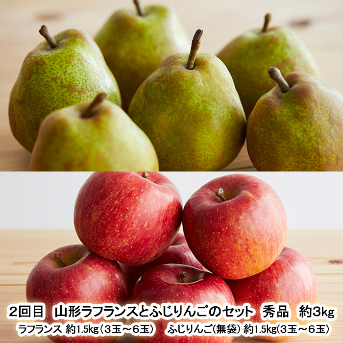 【定期便2回】山形 Juicyフルーツ 秋冬便 【令和8年産先行予