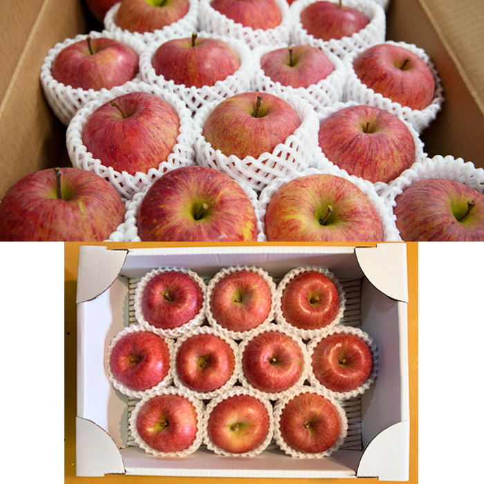 【定期便3回】やまがた秋のりんご三昧 【令和7年産先行予