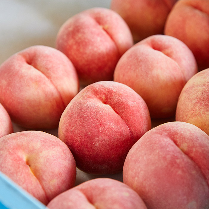 【定期便4回】初夏から冬まで！山形のくだもの便 【令和8