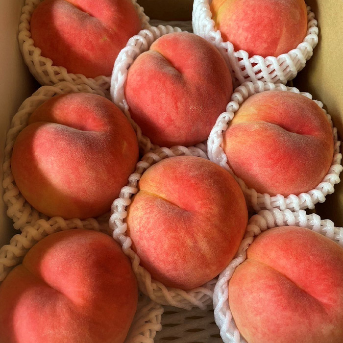 【定期便3回】農家さんおすすめ ～人気くだものトップ３！