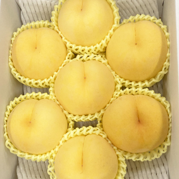 【定期便3回】3種の桃　食べきり定期便～各2kg～ 【令和7年