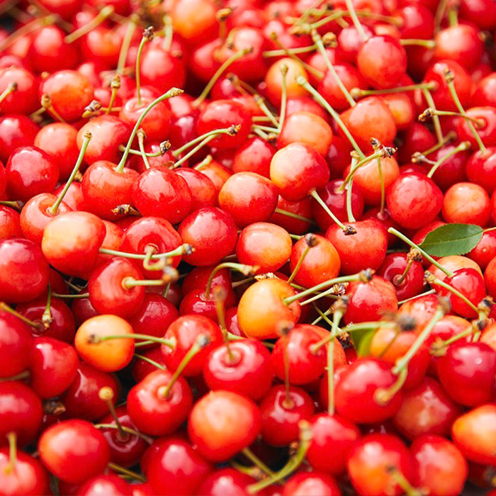 山形産 さくらんぼ 佐藤錦 Lサイズ 約1kg 【令和7年産先行予