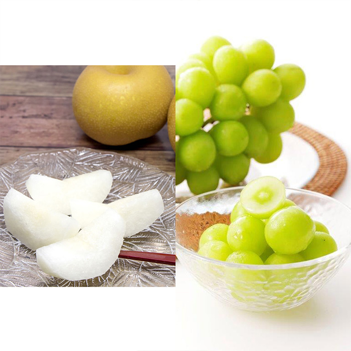 【定期便6回】山形の恵みB 【令和8年産先行予約】FS25-645