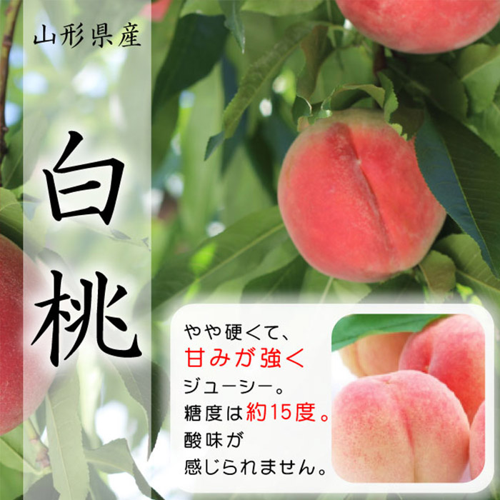 【定期便3回】山形市の至高！山形市厳選フルーツ定期便【