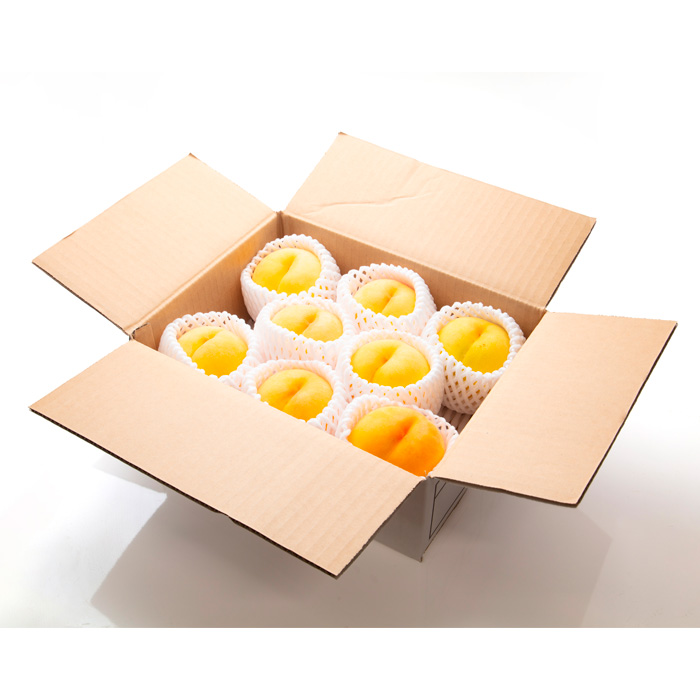 【定期便3回】桃三昧の幸せ便 【令和8年産先行予約】FS25-612