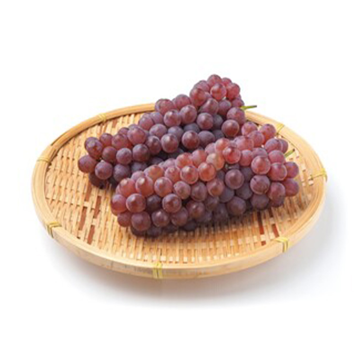 【定期便3回】やまがた フルーツ定期便 ”最上” 山形名物