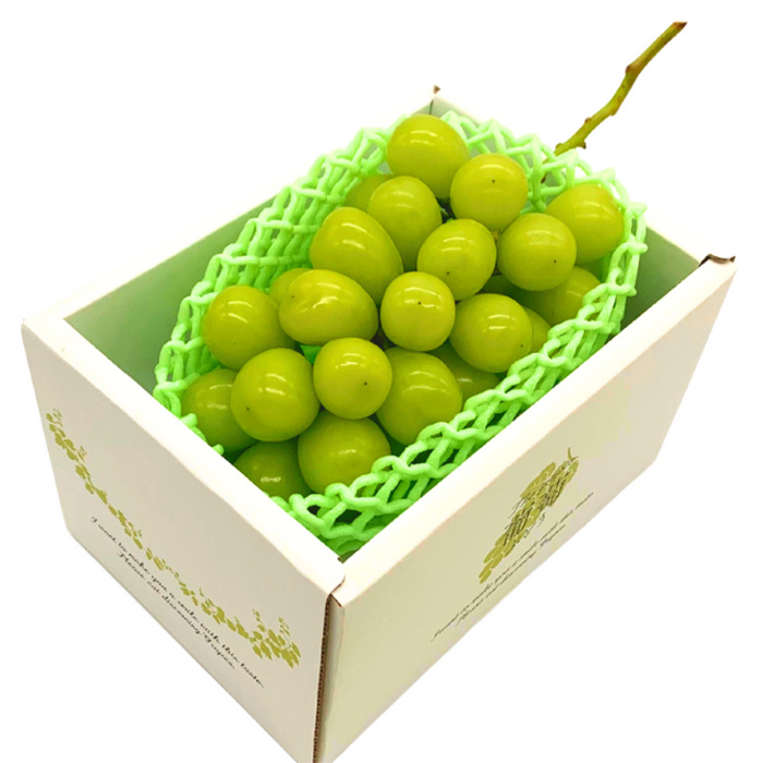 【定期便3回】やまがた 初夏さくらんぼから春いちごまでの