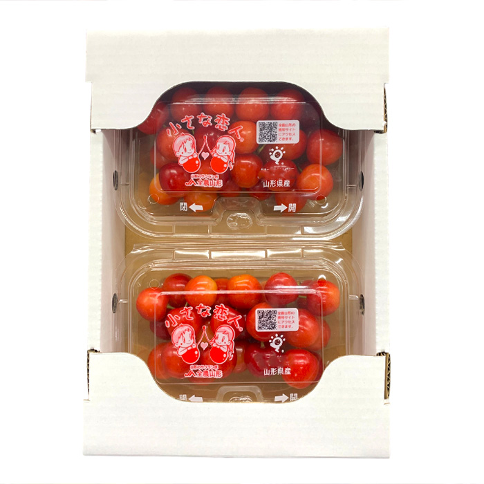 【定期便8回】やまがた 旬の果物オールスター FZ24-537