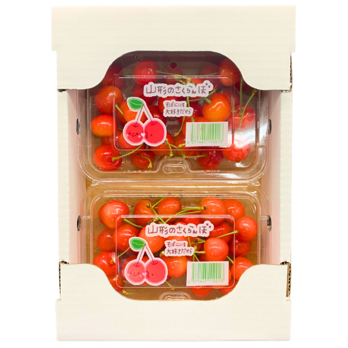 【定期便2回】おいしいやまがた さくらんぼとシャインマス