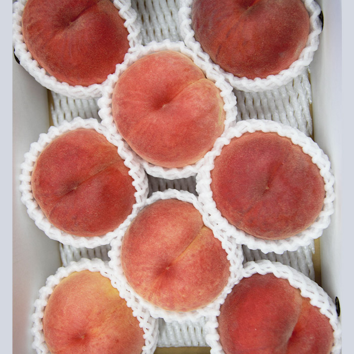 【定期便4回】山形のすっごく美味しい果物定期便 【令和8