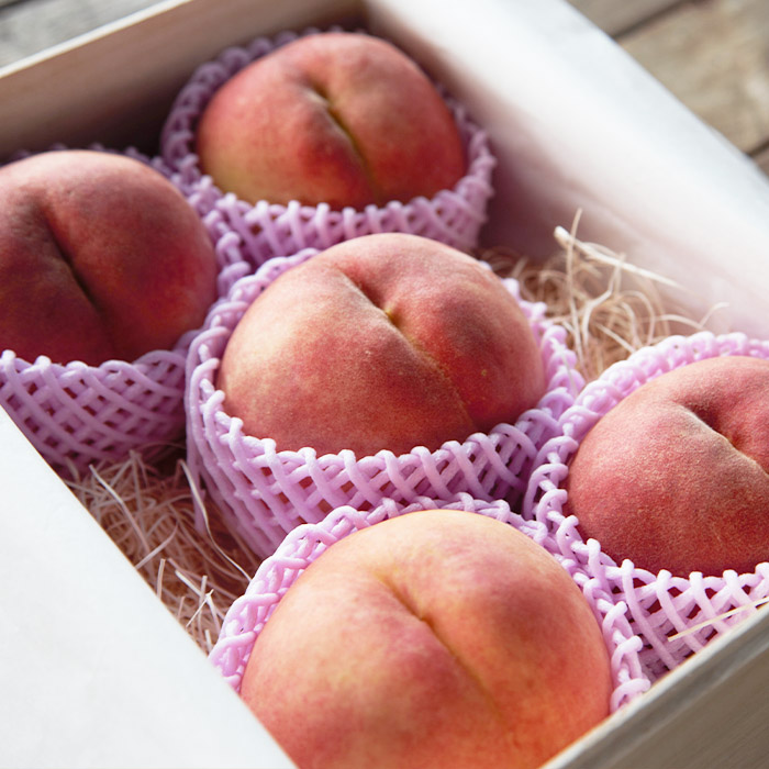 【定期便4回】★限定20セット★贈答用 最高級桐箱入り 山形