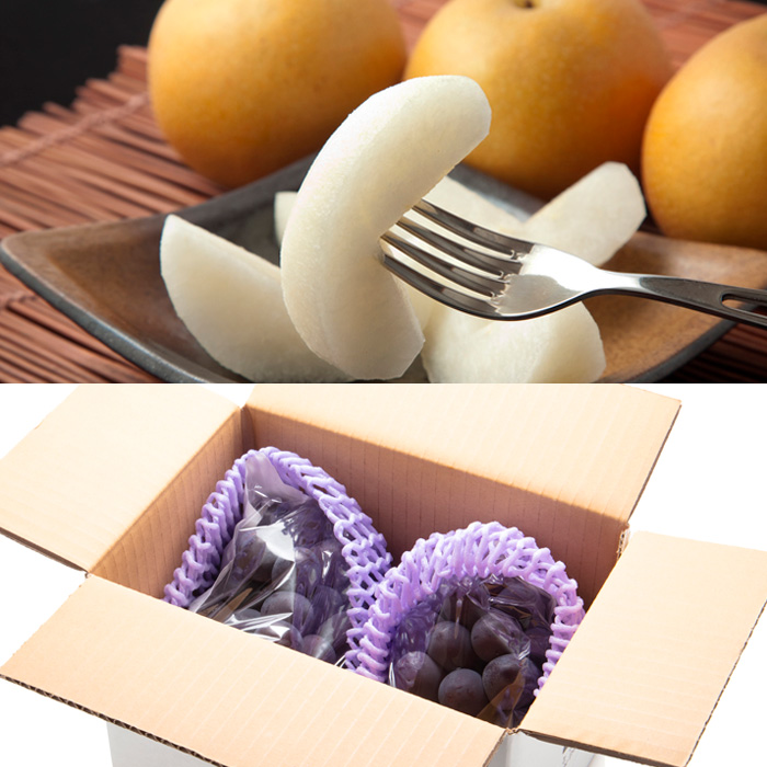 【定期便6回】春夏秋冬・彩りフルーツ 【令和8年産先行予