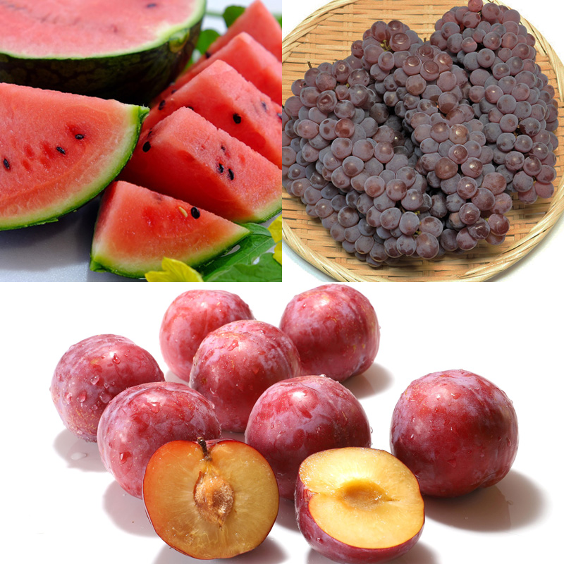 白桃とフルーツ詰合せ 約5kg 【令和8年産先行予約】FS23-801