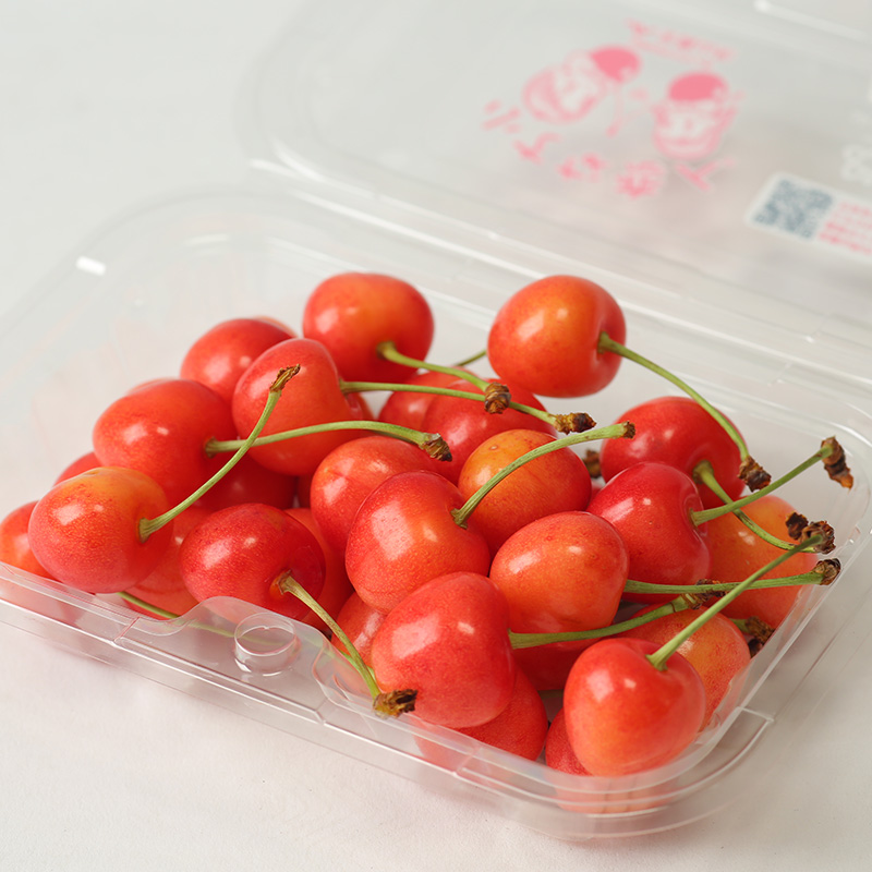 【定期便3回】☆フルーツ王国山形☆いちご・紅秀峰・シャ