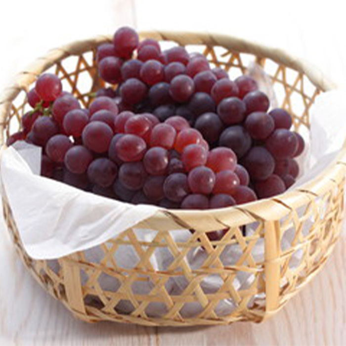 【定期便5回】やまがた ”初夏さくらんぼから冬りんご”ま