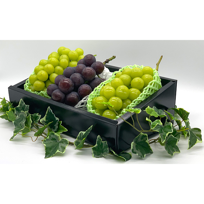 【定期便3回】やまがた秀逸フルーツ 贈答品クラス 【令和8