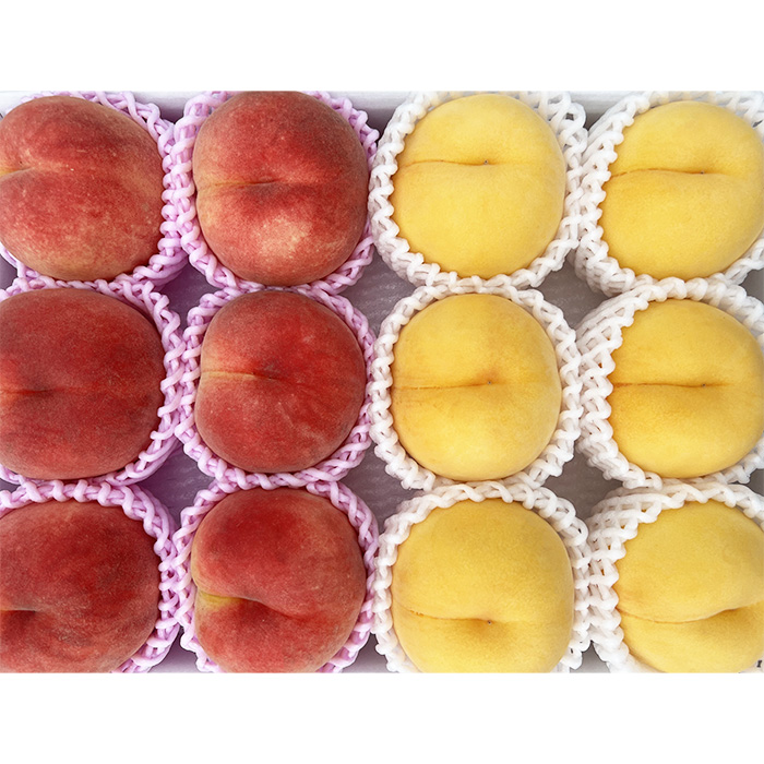 山形市産 黄桃と白桃の2色セット 秀 3kg(硬め） 【令和8年産