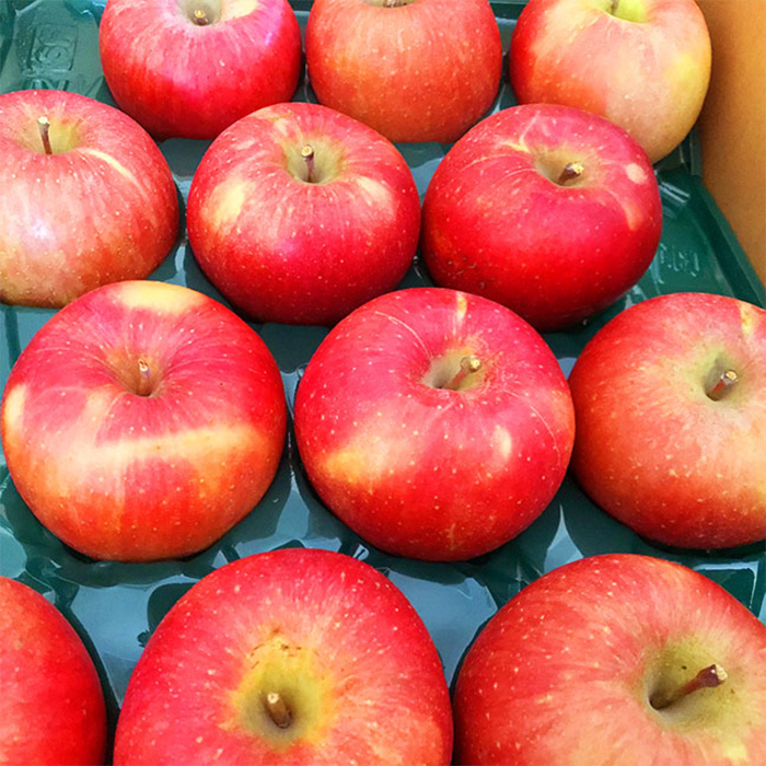 山形市産 家庭用 【訳あり・ふじりんご】10kg (32～56玉)※数