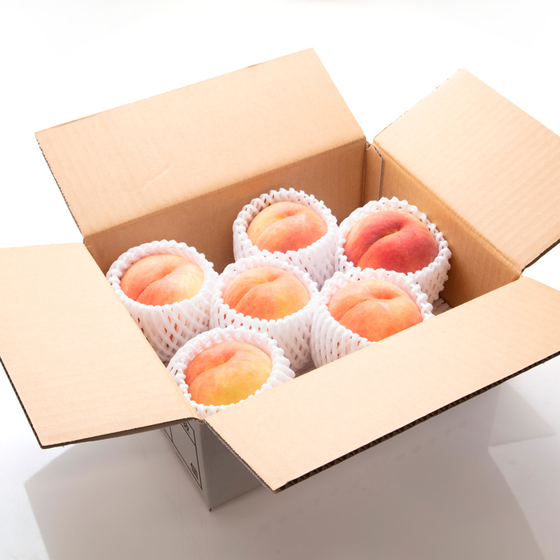 【定期便3回】人気フルーツベスト３便 (佐藤錦・白桃・シ