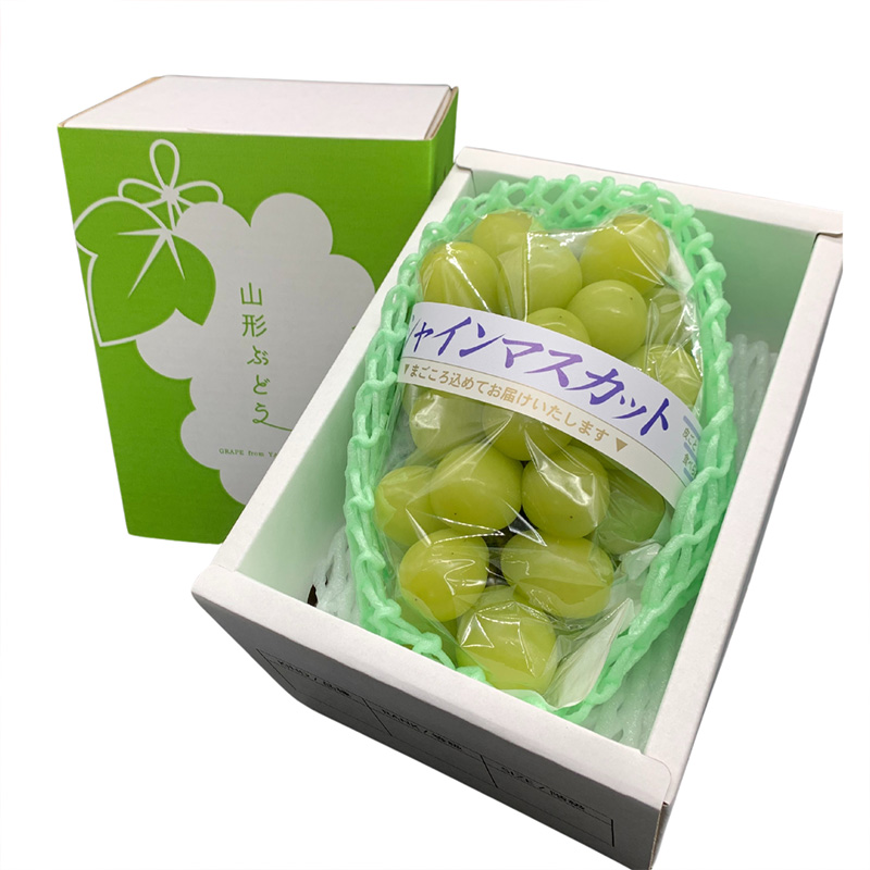 【定期便4回】やまがた 秋フルーツ浪漫B【令和7年産先行予