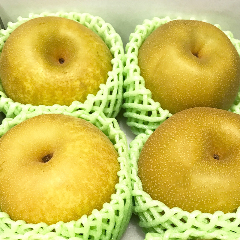 【定期便4回】やまがた 秋の贈り物定期便【令和8年産先行