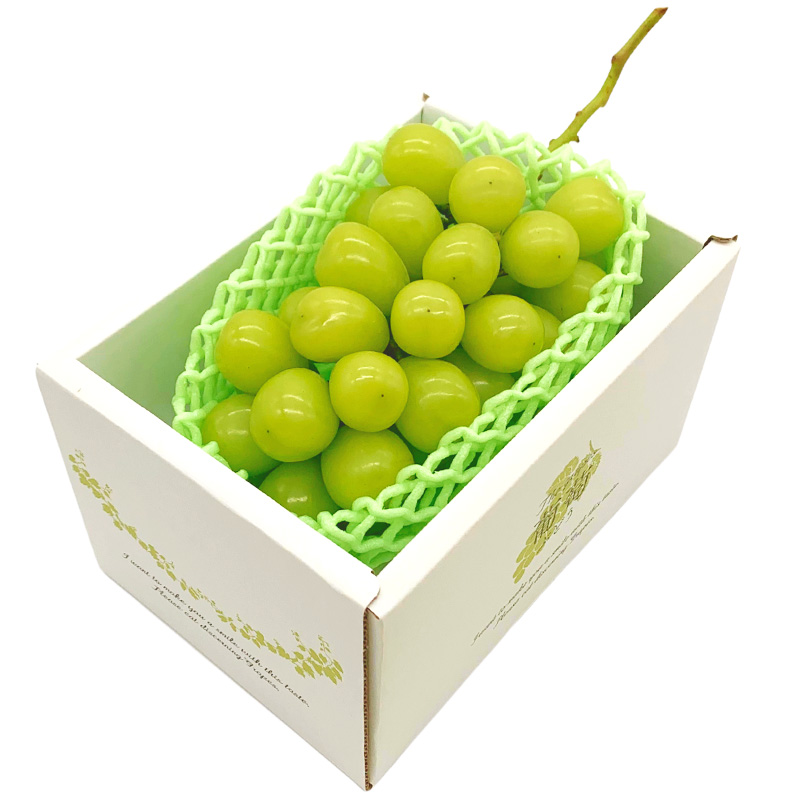 【定期便3回】やまがた 収穫の秋定期便【令和8年産先行予