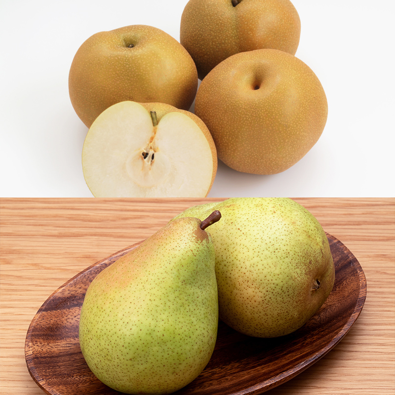 【定期便4回】山形秋の果物 満喫便【令和8年産先行予約】FS