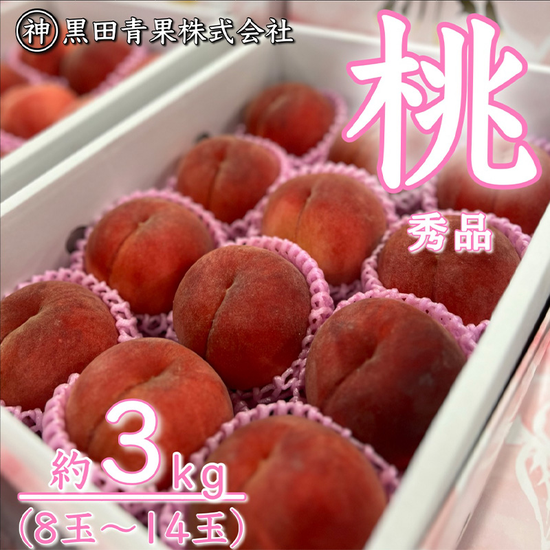 【定期便3回】青果仲買人が選ぶ！山形旬のフルーツ3選！[