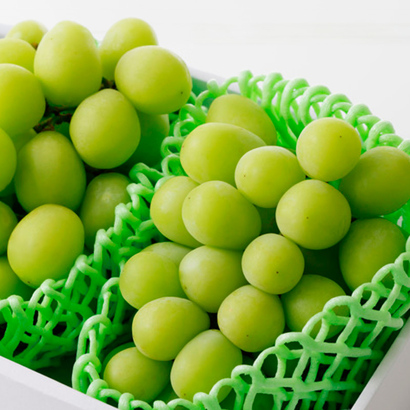 【定期便2回】山形から旬をお届け！自慢の桃とシャインマ