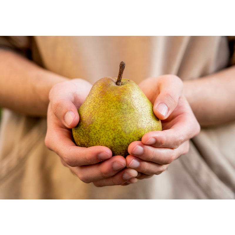 山形果実の女王 口どけラ・フランス 秀品 5kg FY24-012