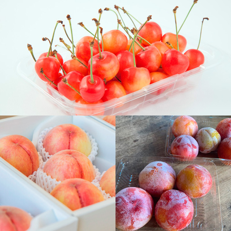 【定期便5回】ノノハナフルーツ やまがた赤の定期便 FY25-812