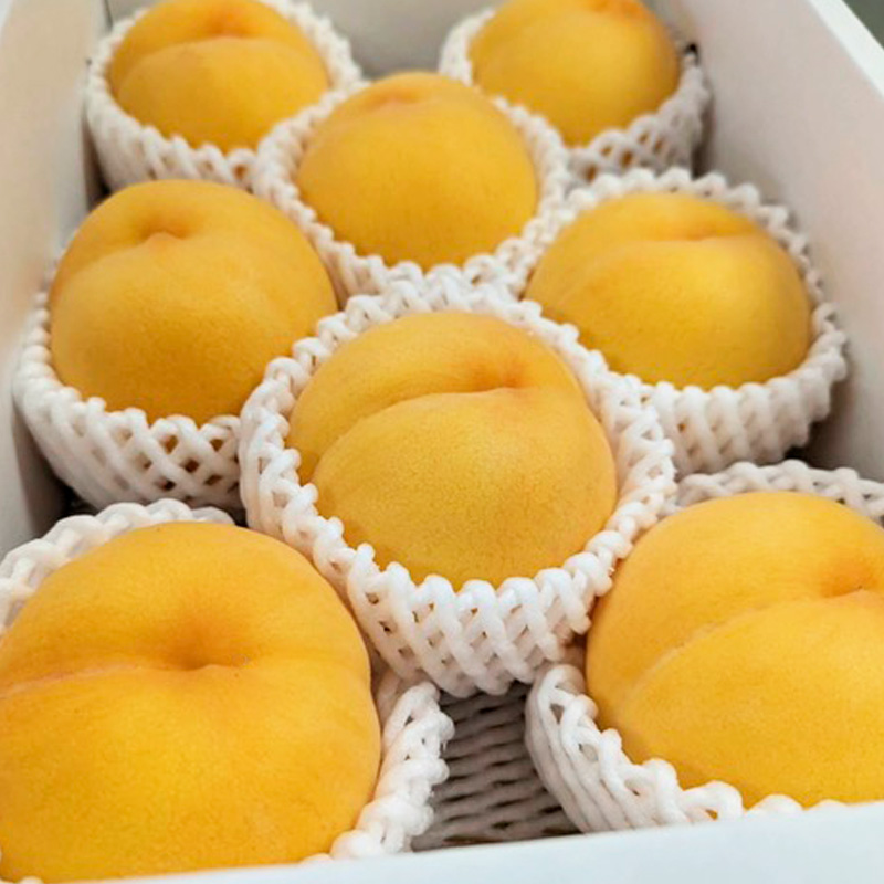 【定期便3回】桃！桃！桃！桃好きな方への食べ比べ定期便