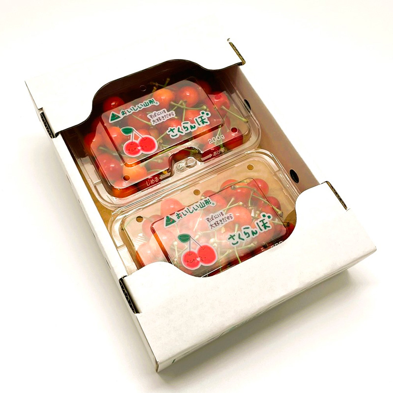 【定期便3回】人気フルーツ まるかじり定期便 FY25-826