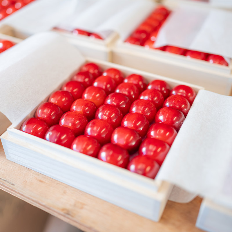 さくらんぼ 「紅秀峰」 300g 特秀品 2Lサイズ 桐箱入 山形産 