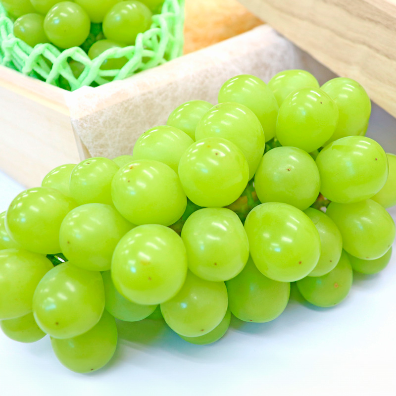 【定期便３回】山形フルーツ 極上セット 桐箱入り【令和8