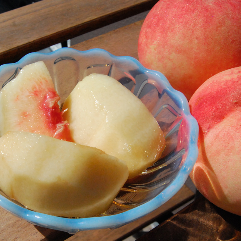 山形の川中島白桃 5kg (10～16玉) [柔らかくなる桃]【令和8年