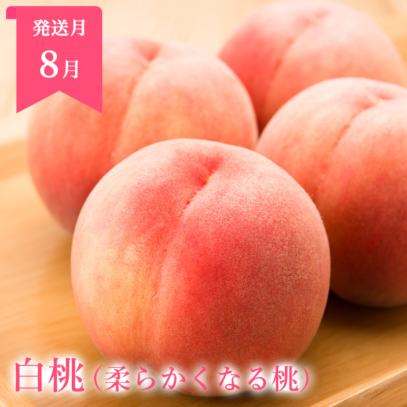 定期便5回】山形まるごと！人気のくだものベスト5 FZ25-958