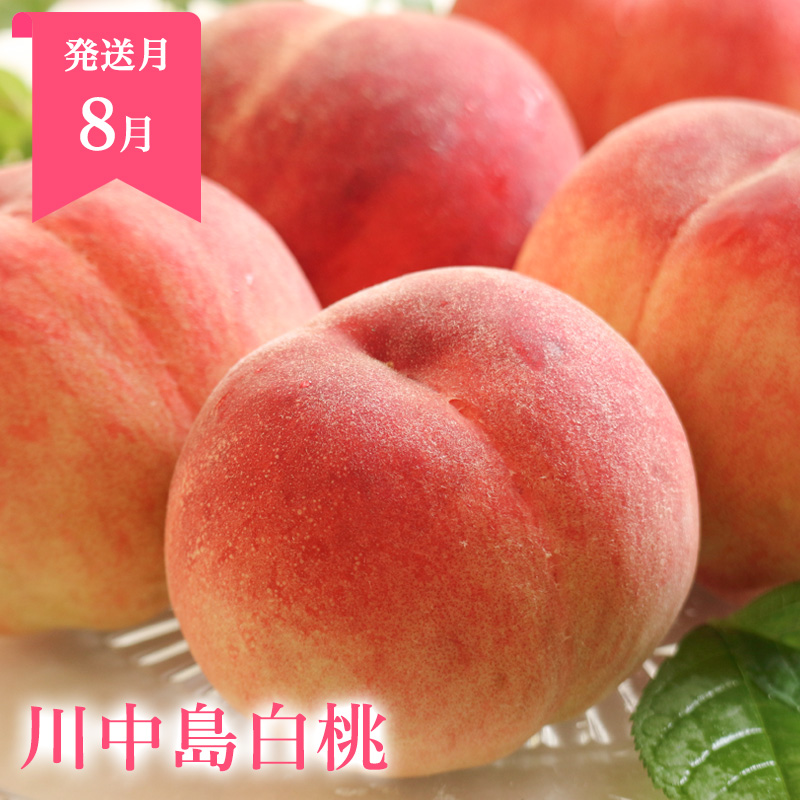 【定期便3回】山形まるごと！人気のくだものベスト3 FZ25-959