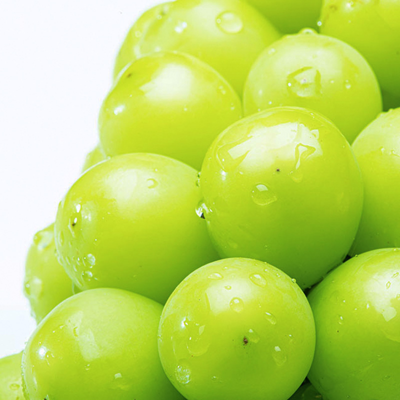 山形市産 大粒シャインマスカット 1kg以上 2房【令和8年産先