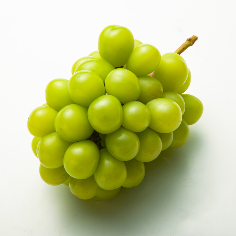 山形産 シャインマスカット 秀 約5kg 【令和8年産先行予約】