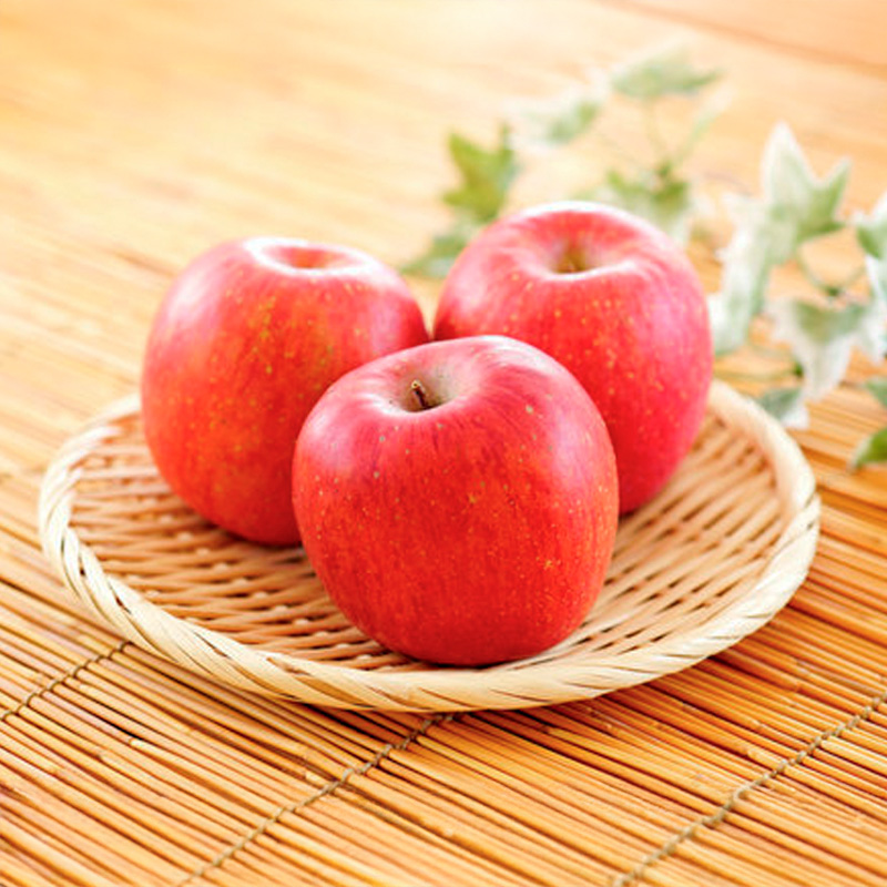 【定期便2回】極上山形フルーツ便～シャインマスカットと