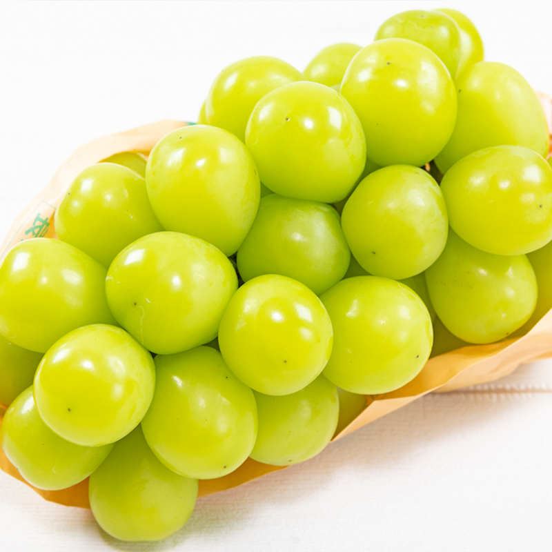 【定期便2回】フルーツ王国山形 旬の桃とシャインマスカッ