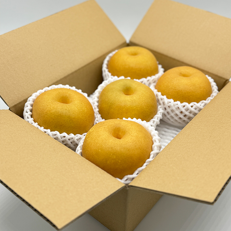 【定期便3回】やまがた みちのくフルーツ便 ”紅” 山形市