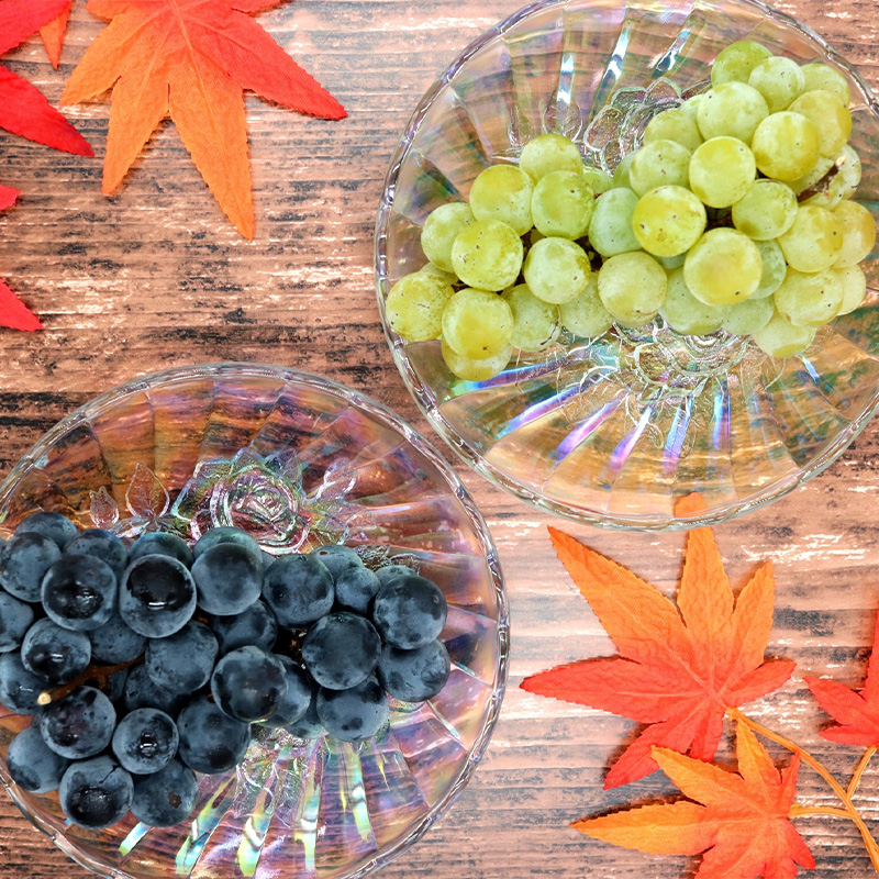 【定期便3回】ぶどう5種の癒し便【令和8年産先行予約】FS24-