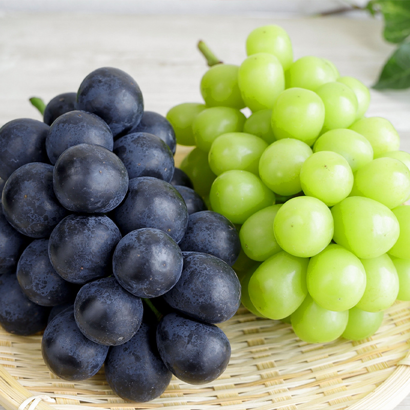 【定期便3回】どれも美味しい山形フルーツ贅沢6種便 A 【令