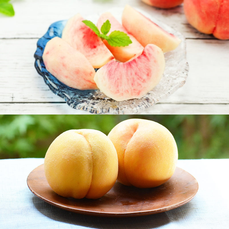 【定期便4回】ピチピチPeache's 【令和8年産先行予約】FS24-742