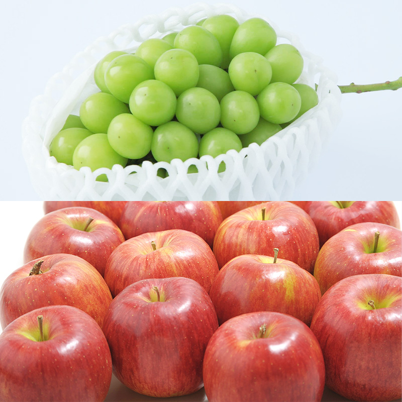 【定期便4回】山形のフルーツを食べ尽くし！厳選フルーツ