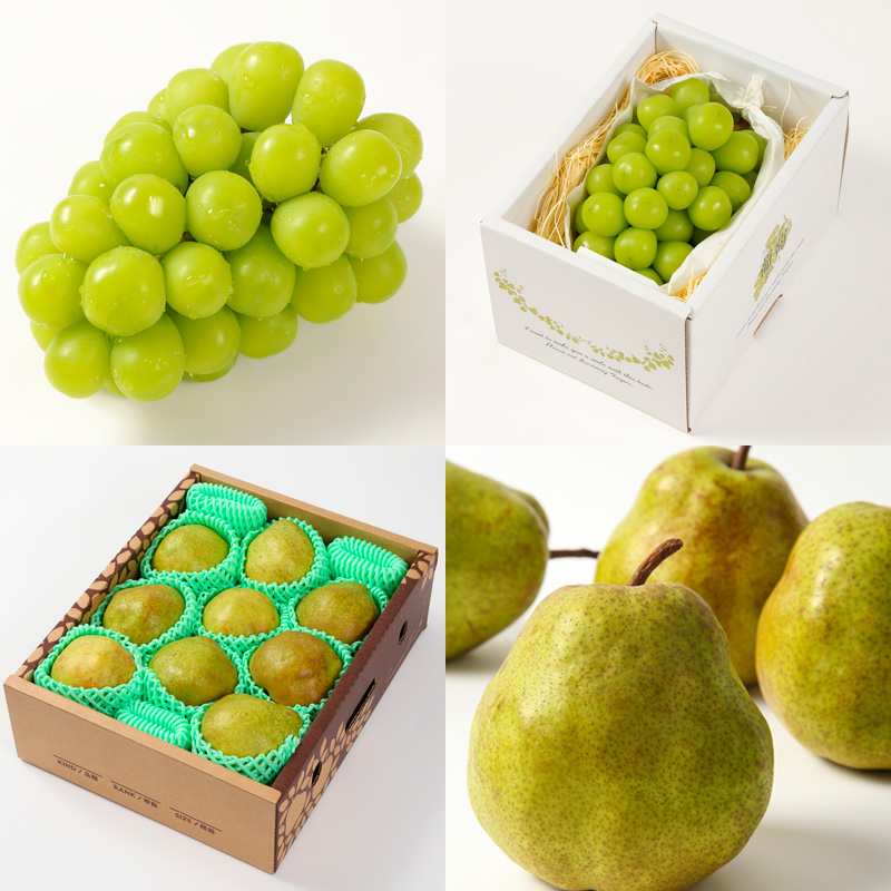 【定期便4回】果物定期便Aコース(さくらんぼ、白桃、シャ