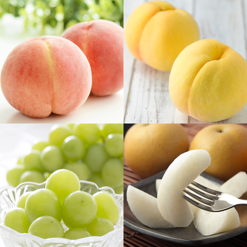 【定期便5回】スペシャル宝箱便 【令和8年産先行予約】FS25-